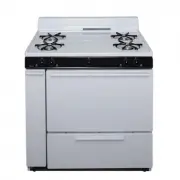 Premier BLK100WP