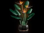 Lego 10289 Bird of Paradise (Райская птица)