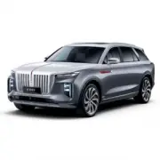 Hongqi E-HS9 (2020 - нв)
