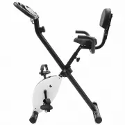 Lifespan Fitness EXER11