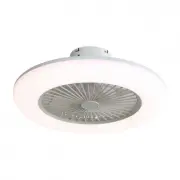 BANSA ROSE ZSBD001