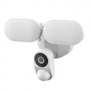 model-name