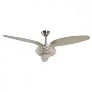 Parrot Uncle F6168110V