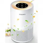 EdenDirect DEHA121208