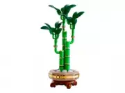 model-name