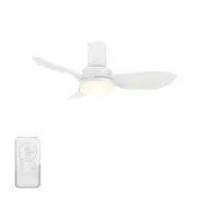 CARRO USA LS363V2-L12-W1-1-FM