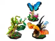 model-name