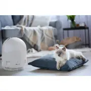 AirFree P2000