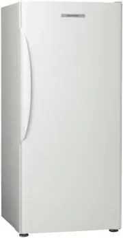 Fisher & Paykel E308RWW