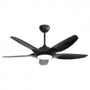 BANSA ROSE XY-A4801DC