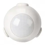 model-name