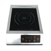 True Induction TI-1SS