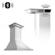 model-name