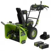 Greenworks SSN80L620
