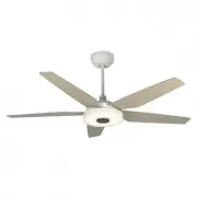 model-name