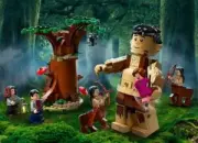 Lego 75967 Forbidden Forest: Umbridge's Encounter (Запретный лес: Грохх и Долорес Амбридж)