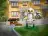 Lego 76425 Hedwig at 4 Privet Drive (Букля на Тисовой улице 4)