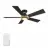 CARRO USA LS525J1-L11-B2-1G-FM