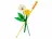 Lego 30701 Field Flowers (Полевые цветы)