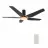 CARRO USA LS525B-L22-B2-1G-FM