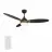CARRO USA LS523Q4-L12-B2-1G
