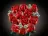 Lego 10328 Bouquet of Roses (Букет роз)