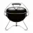 Weber 40020