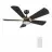 CARRO USA LS525B6-L12-B2-1G