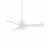 WAC Lighting F-083L-MW
