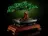 Lego 10281 Bonsai Tree (Бонсай)