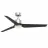 Fanimation FPD8514SLW-56DWAW-LK