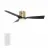 CARRO USA LS483P-L12-G2-1-FM