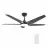 CARRO USA LS525B-L22-B2-1