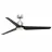 Fanimation FPD8514SLW-60BLW-LK