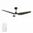 CARRO USA LS563B-L12-B5-1
