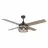 Parrot Uncle F6287110V