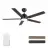 CARRO USA LS525J-L12-BG-1