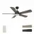 CARRO USA LS525E3-L12-BG-1