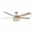 Parrot Uncle F8239110V