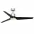 Fanimation FPD8514SLW-52BLW-LK