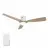 CARRO USA LS523P-L22-WR-1-FM