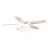 Parrot Uncle F6291WH110V