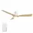 CARRO USA LS523P-L22-WQ-1-FM