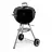 Weber 441001