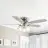 Parrot Uncle F6291110V