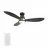 CARRO USA LS523Q7-L12-B2-1-FM