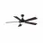 Fanimation LP8069LAZ
