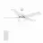 CARRO USA LS525E5-L12-W1-1A