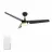 CARRO USA LS523N-L12-B2-1
