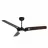 CARRO USA LS523A-L12-B5-1